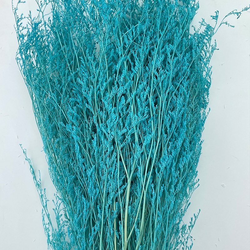 Ins hot selling dried preserved limonium flower for home/wedding/decoration flower arrangement on INS