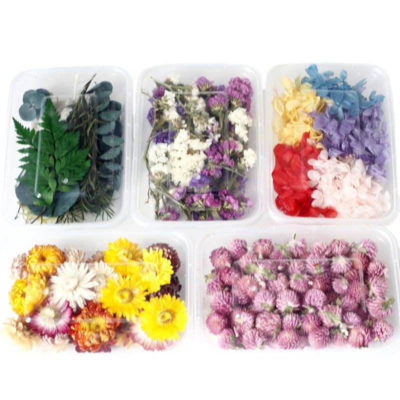 Ychon Preserved Flower Dry Flower DIY Material Pack Various artificial dry flower for Gift decoration of Festival