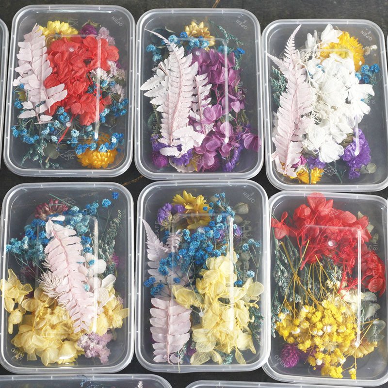 Ychon Preserved Flower Dry Flower DIY Material Pack Various artificial dry flower for Gift decoration of Festival