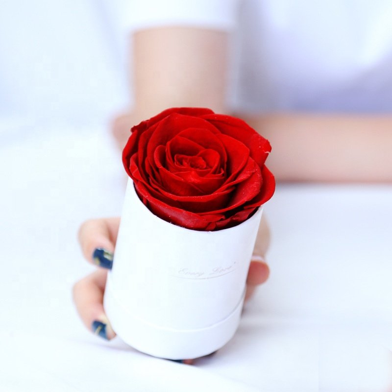 best price preserved austin rose heart boxes for flowers acrylic square roses