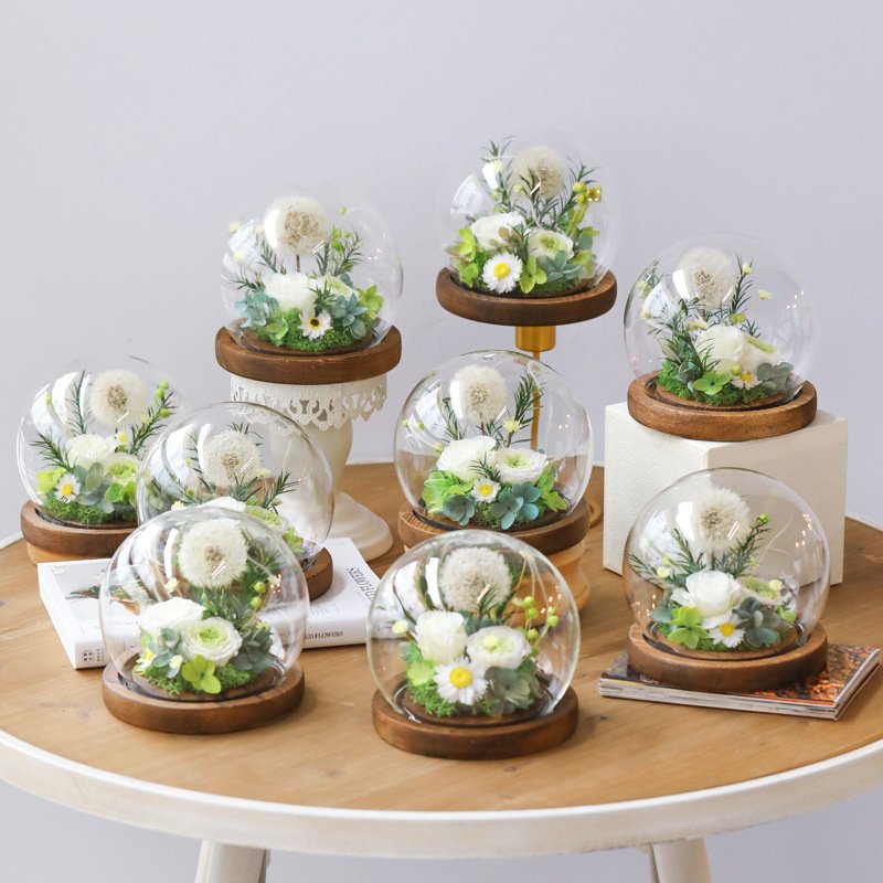 natural and real preserved fresh flower gift rose flowers for gift rose preserved Dandelion in glass jar Glass Cover
