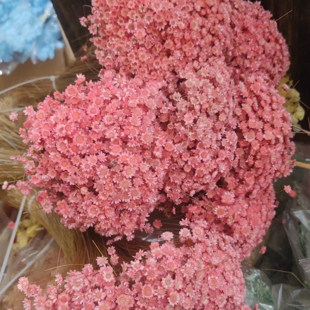 Decorative Dried flowers Mini Daisy Chamomile Bouquet 50 stems Light Purple Natural Dry Flowers Brazilian Small Star Daisy