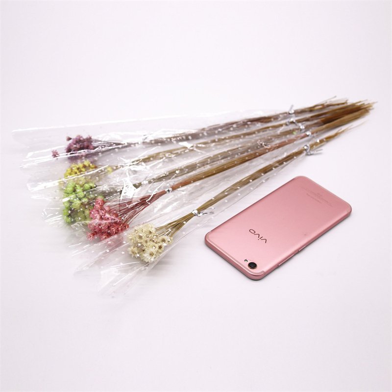 Decorative Dried flowers Mini Daisy Chamomile Bouquet 50 stems Light Purple Natural Dry Flowers Brazilian Small Star Daisy