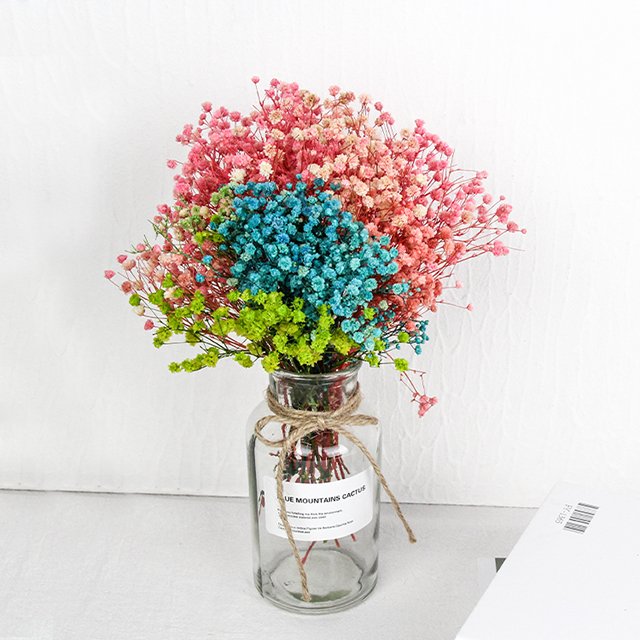 Dropshipping Products Preserved Plants Babys Breath Dried Flowers Bouquet Preserved Gypsophila Flower For Flower Arrangement