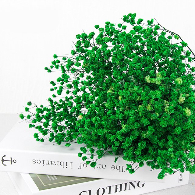 Dropshipping Products Preserved Plants Babys Breath Dried Flowers Bouquet Preserved Gypsophila Flower For Flower Arrangement