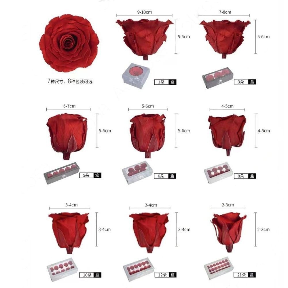 Handmade DIY flower material source manufacturers wholesale 21 small Champagne A grade 2-3cm eternal flower rose head