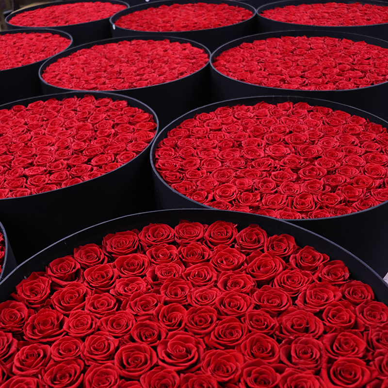 Wholesale Natural Preserved Rose for Mothers Day Gifts forever Flower Eternal Natural infinity forever roses 99 rose gift box