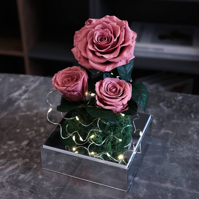 Mirror Preserved Rose Mothers Day Anniversary Wedding Gift Enchanted Preserved Flower Forever Eternal Rose in Acrylic Box