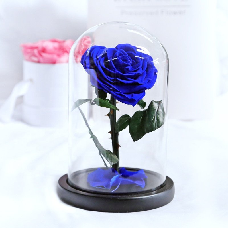 Wholesale Preserved Flowers Gift Classical Heart Shape Single Huge Forever Roses In Glass Christmas Valentines Day Gifts