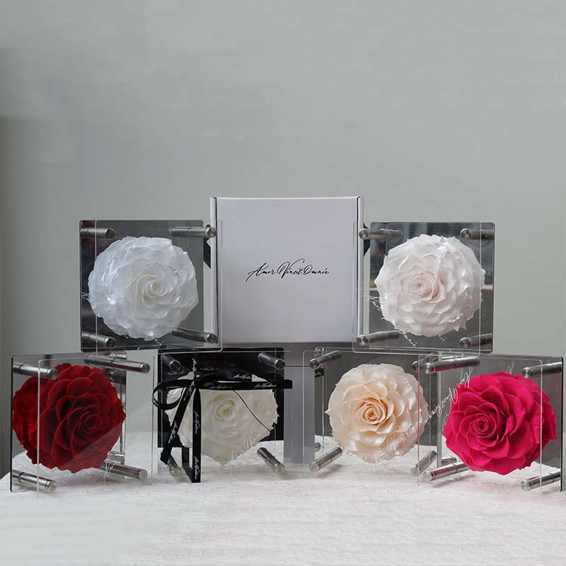 Home decoration and gift Clear Rectangular Valentine's Day Gift Rose Acrylic Display Box Preserved Flower Acrylic Box