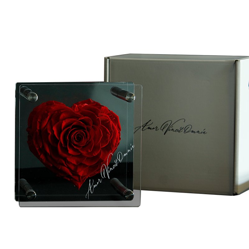 Home decoration and gift Clear Rectangular Valentine's Day Gift Rose Acrylic Display Box Preserved Flower Acrylic Box