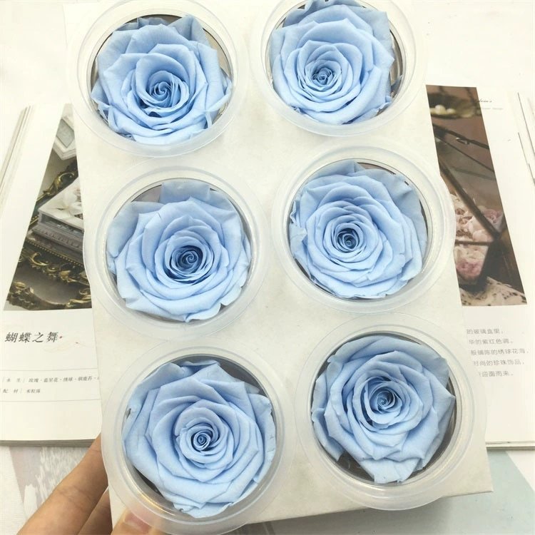 Eternal Rose Flowers 6 PCS 5 - 6 cm big Grade AA real natural immortal roses Everlasting Preserved Roses for DIY flower bouquet