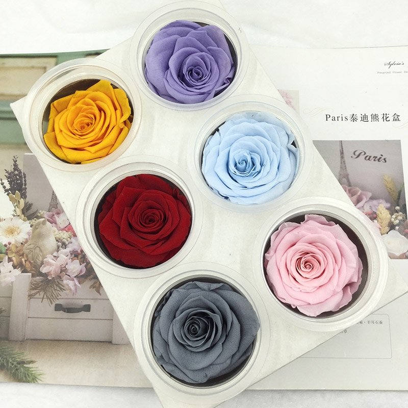 Eternal Rose Flowers 6 PCS 5 - 6 cm big Grade AA real natural immortal roses Everlasting Preserved Roses for DIY flower bouquet