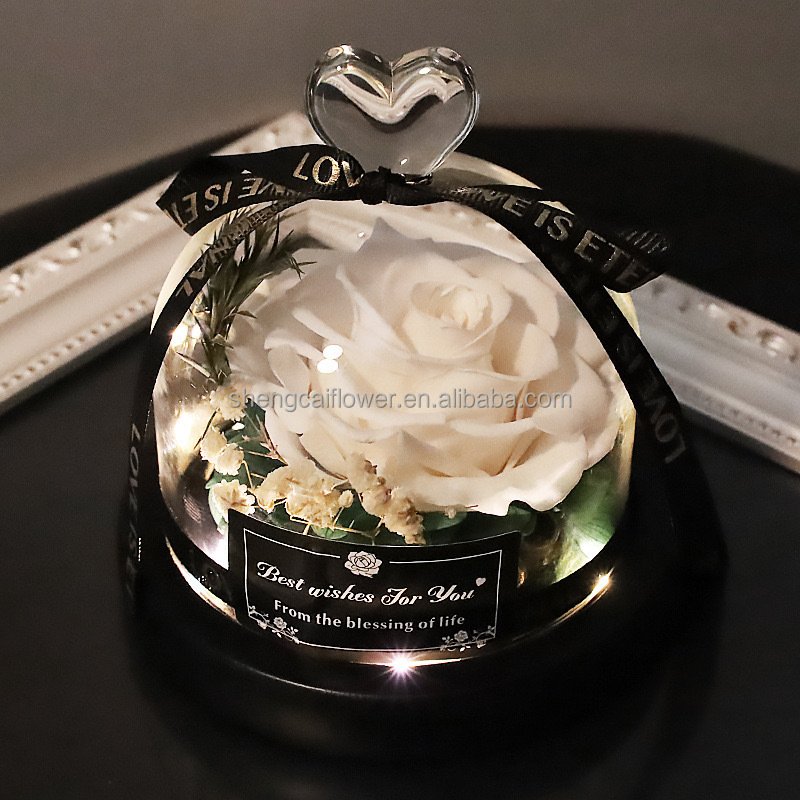 Wholesale Long Life Rose Natural Preserved Rose Glass Dome Forever Real Touch Flower For Valentine's Day Gift