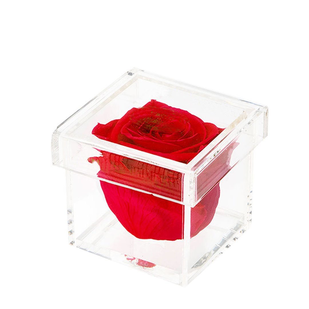 Fast Dispatch Clear Acrylic Box Mothers Day Souvenir Eternal Forever Preserved Flower Roses in Box