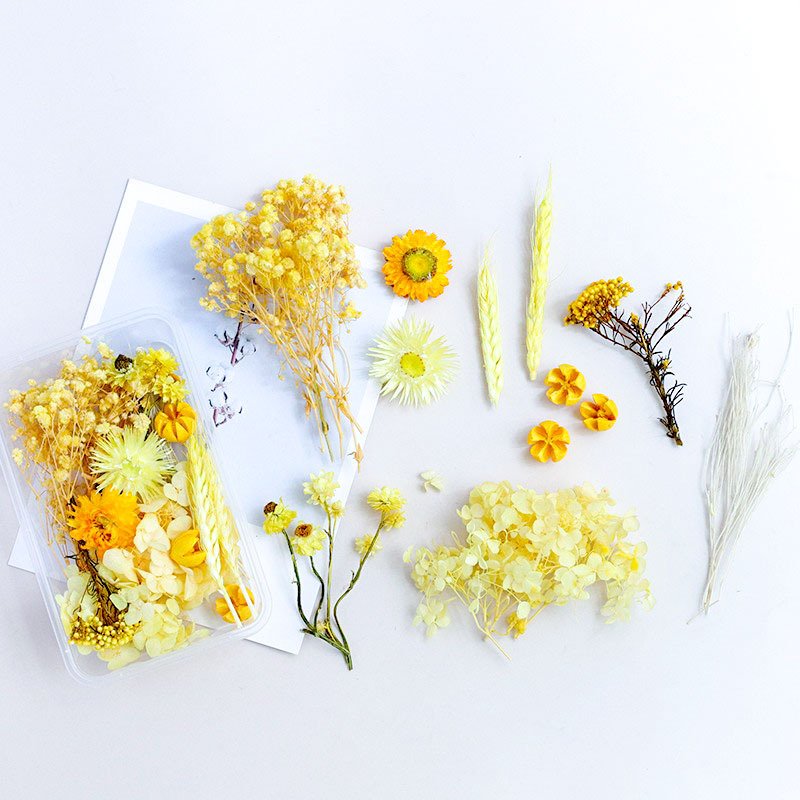 D070 Diy Dried Flowers Mixed Multiple Colors Preserved Baby Breath Rose Gypsophila Preserved Flowers Box