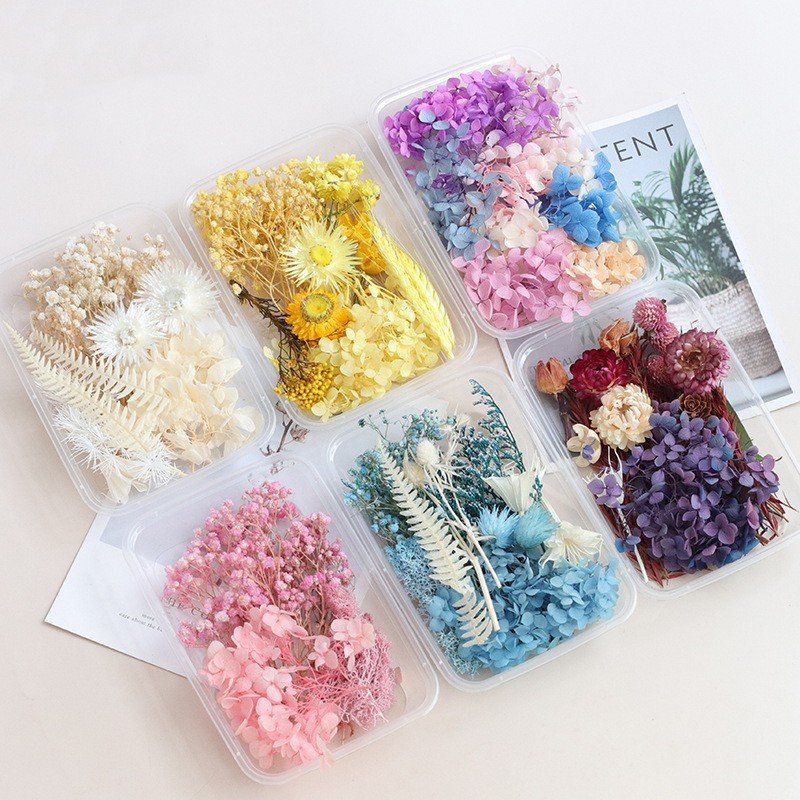 D070 Diy Dried Flowers Mixed Multiple Colors Preserved Baby Breath Rose Gypsophila Preserved Flowers Box