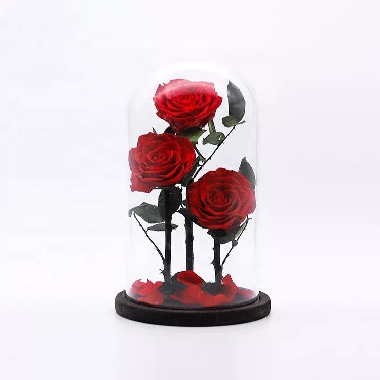 wholesale real touch preserved flower fresh Preserved roses in glass dome tubes