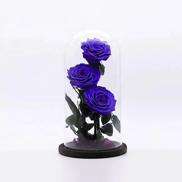 wholesale real touch preserved flower fresh Preserved roses in glass dome tubes
