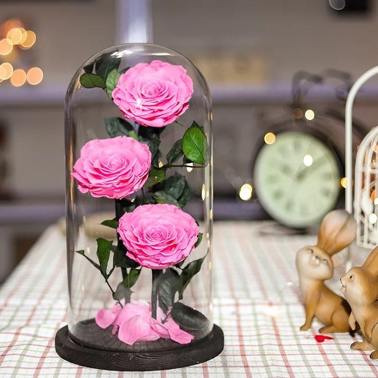 wholesale real touch preserved flower fresh Preserved roses in glass dome tubes