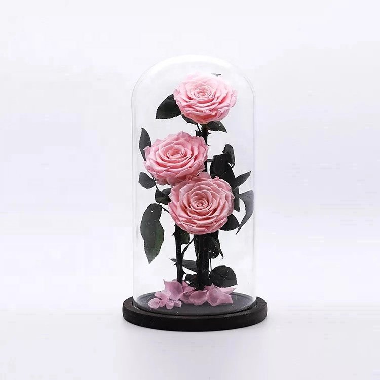 wholesale real touch preserved flower fresh Preserved roses in glass dome tubes
