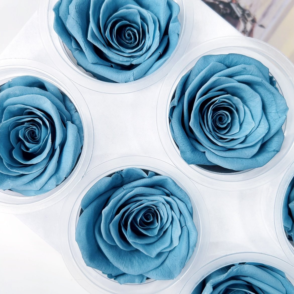 Wholesale Christmas Valentines Day Gift A Grade Real Natural Eternal Rose Heads Immortal Infinity Eternal Preserved Roses