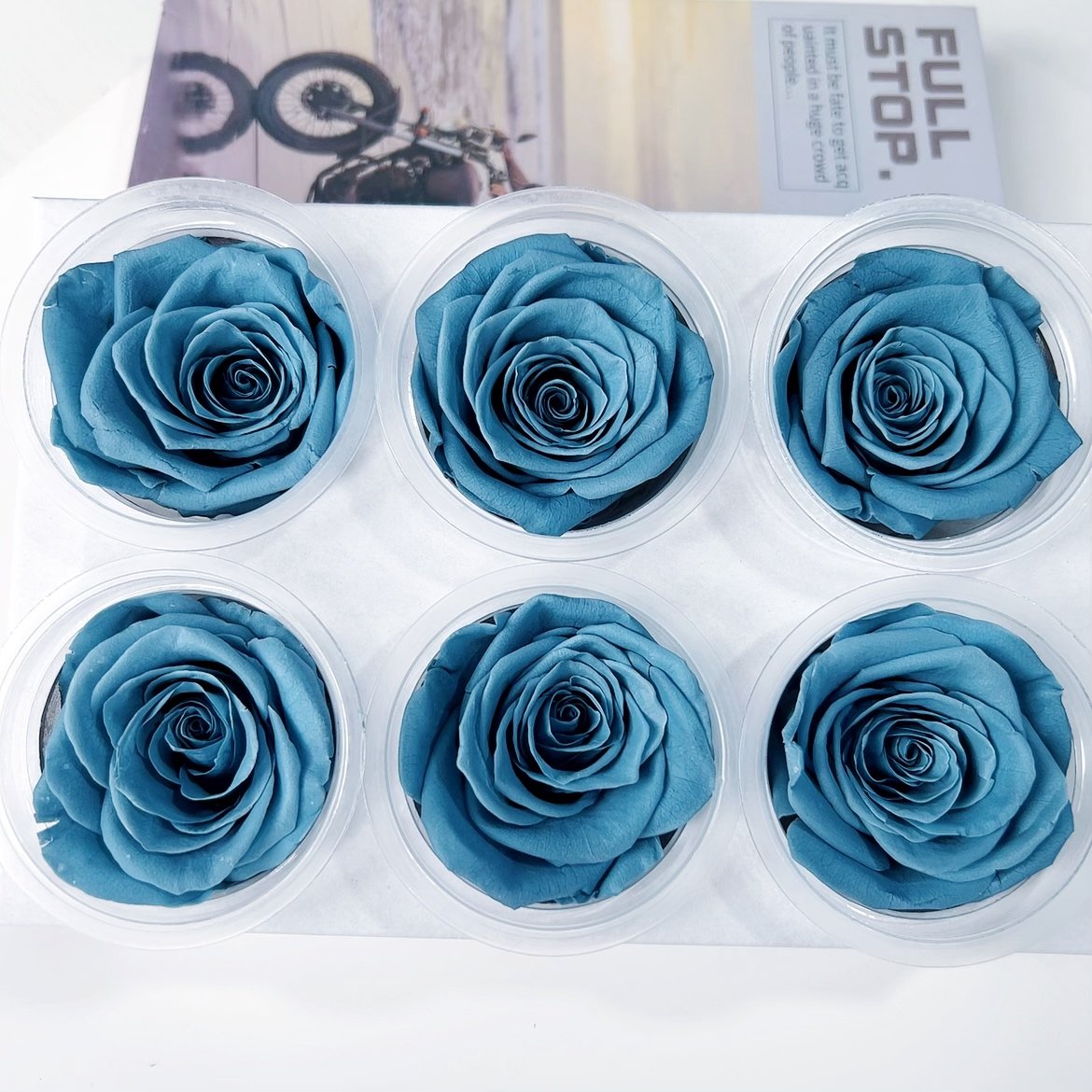 Wholesale Christmas Valentines Day Gift A Grade Real Natural Eternal Rose Heads Immortal Infinity Eternal Preserved Roses