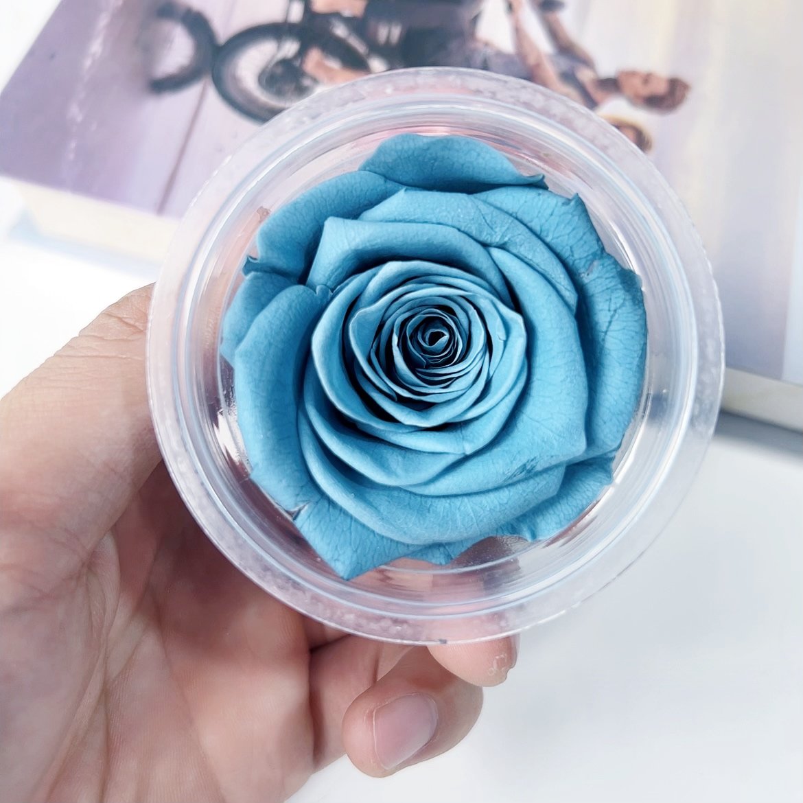 Wholesale Christmas Valentines Day Gift A Grade Real Natural Eternal Rose Heads Immortal Infinity Eternal Preserved Roses