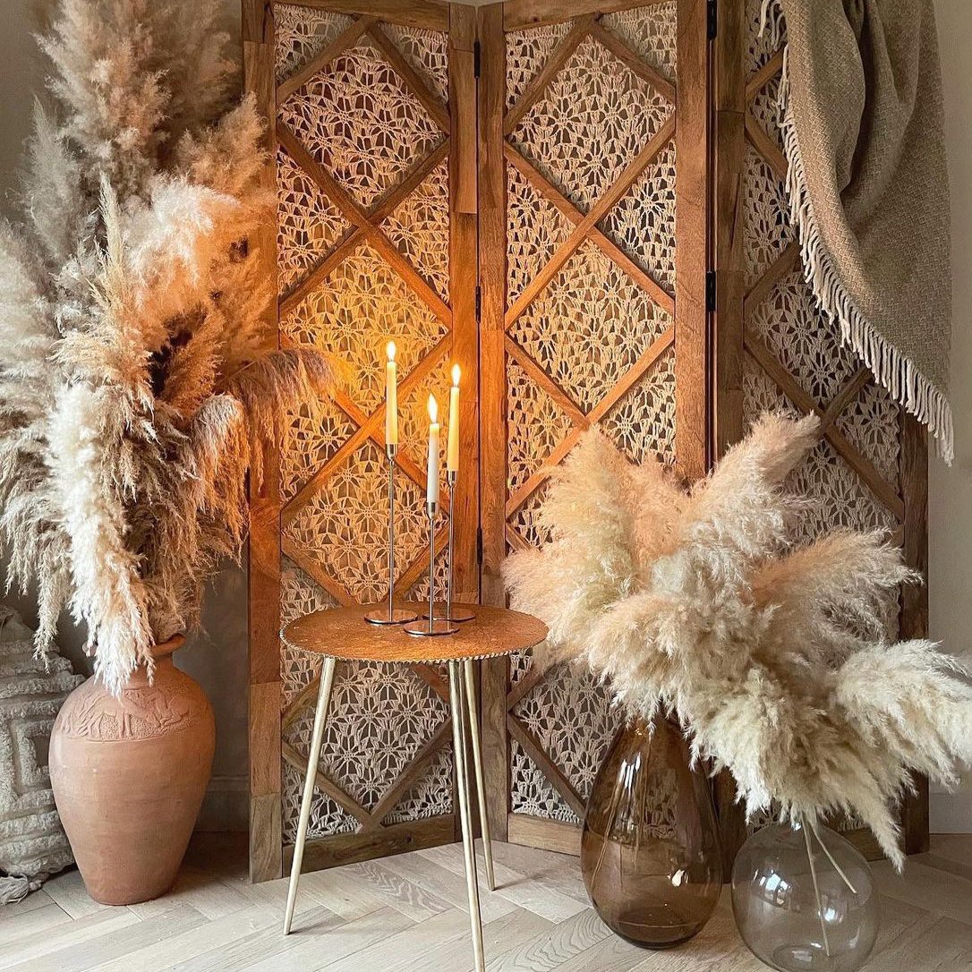Wholesale Large Plume Natural Pampas Grass Hot Selling Dry Preserved Flower for Christmas Decoration