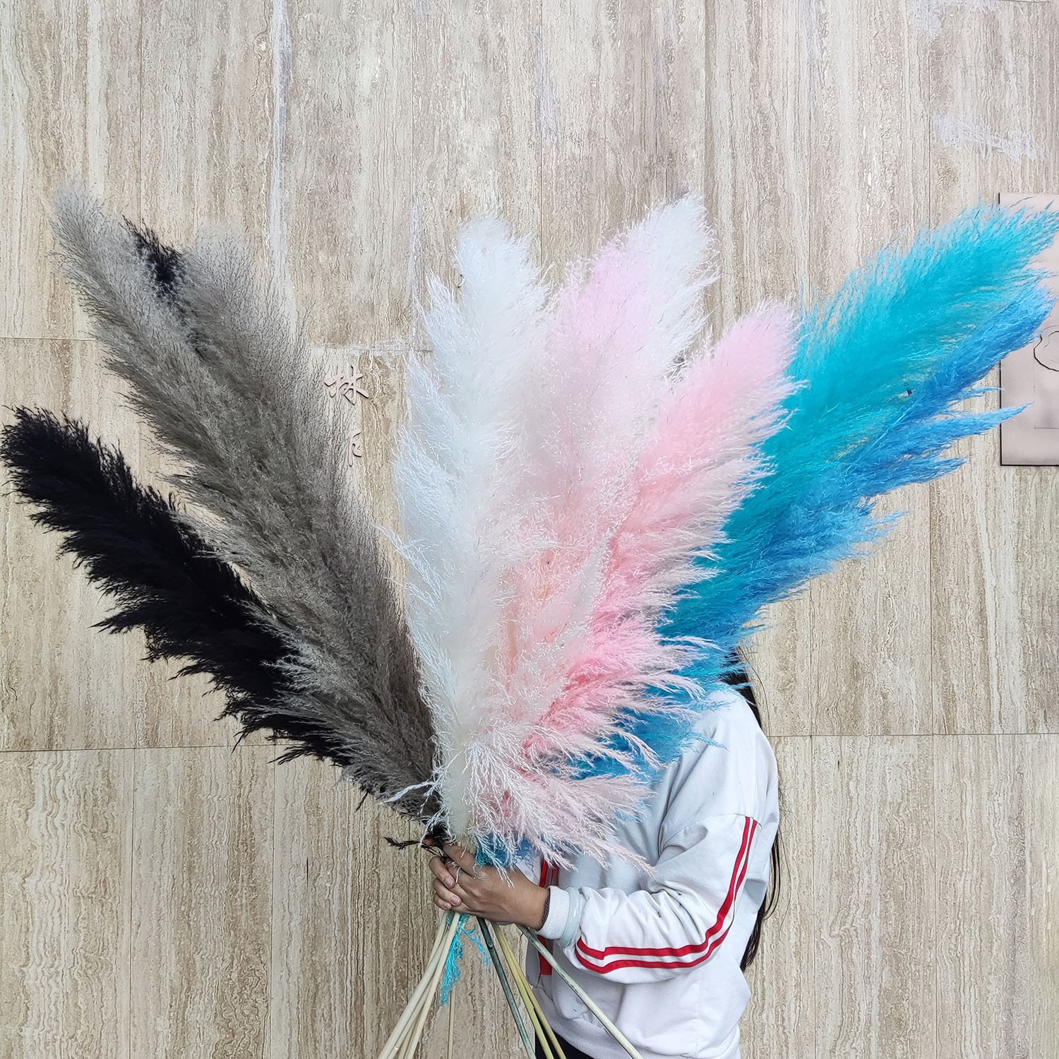 Wholesale Large Plume Natural Pampas Grass Hot Selling Dry Preserved Flower for Christmas Decoration