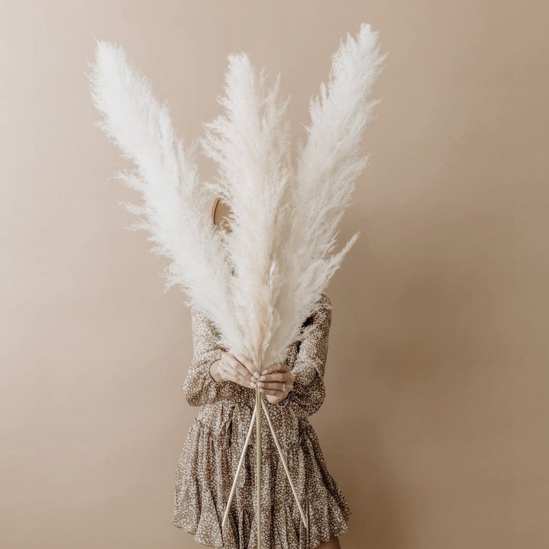 Wholesale Large Plume Natural Pampas Grass Hot Selling Dry Preserved Flower for Christmas Decoration