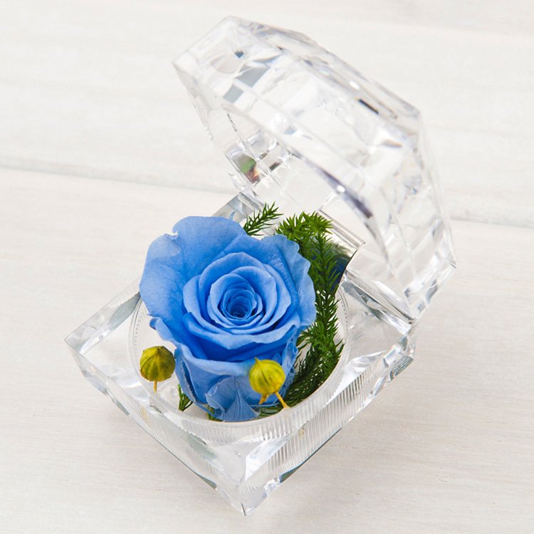 summer flora Best price for preserved single rose 3-4cm small size single forever rose ring box head eternal
