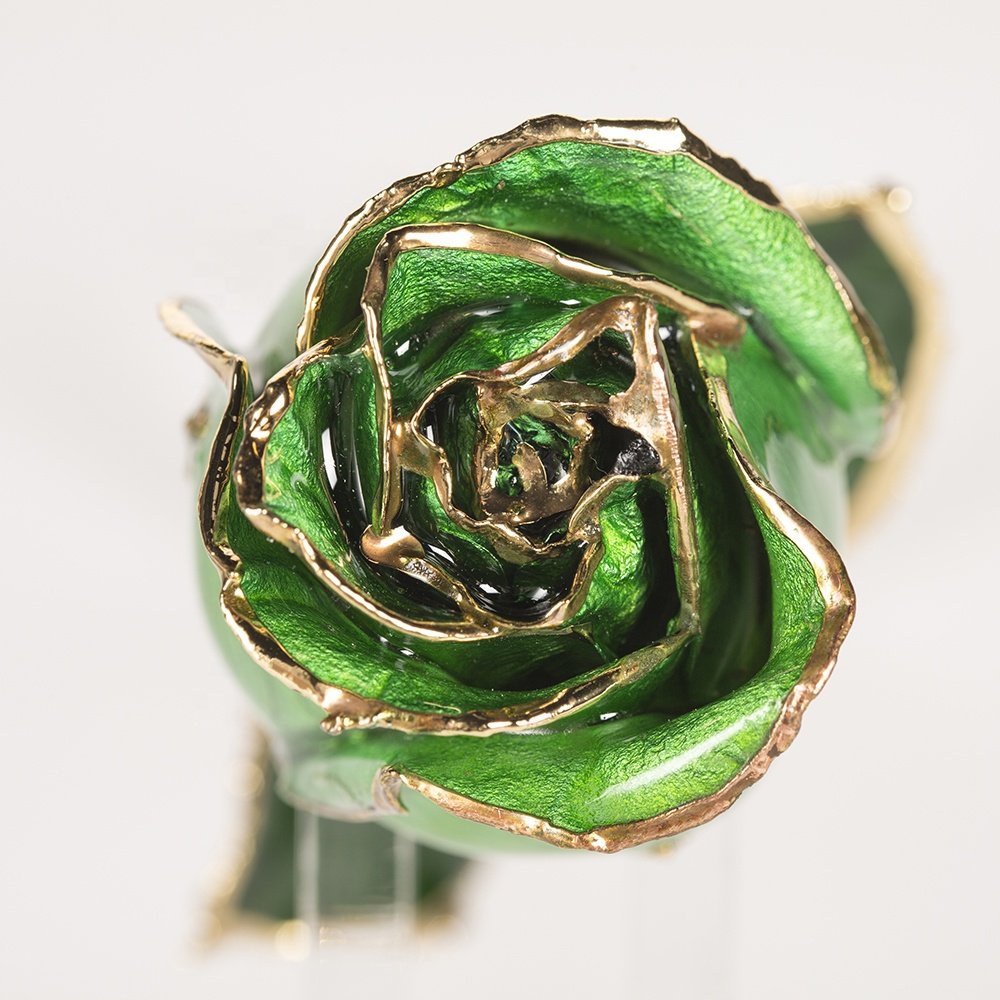 Gold plated rose wholesale green fresh Rose with Stem Present rose gift valentine mother day