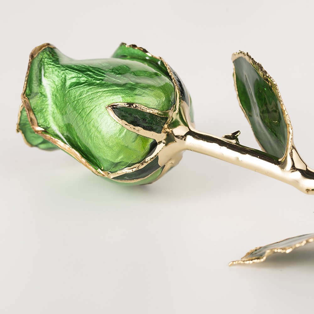 Gold plated rose wholesale green fresh Rose with Stem Present rose gift valentine mother day
