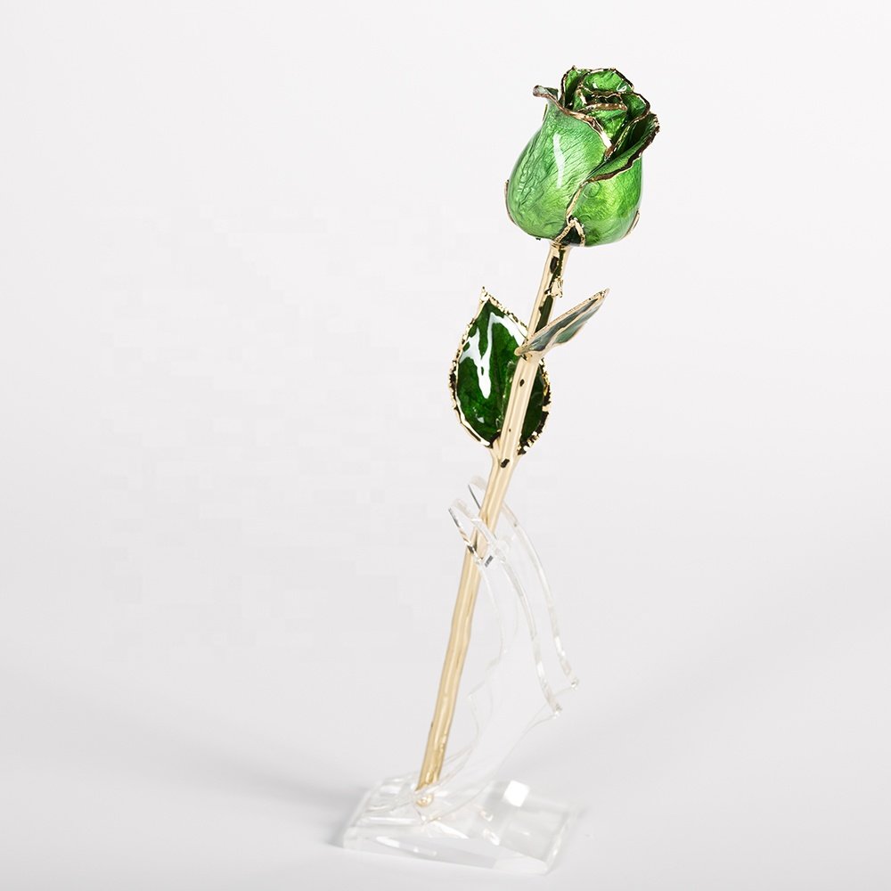 Gold plated rose wholesale green fresh Rose with Stem Present rose gift valentine mother day