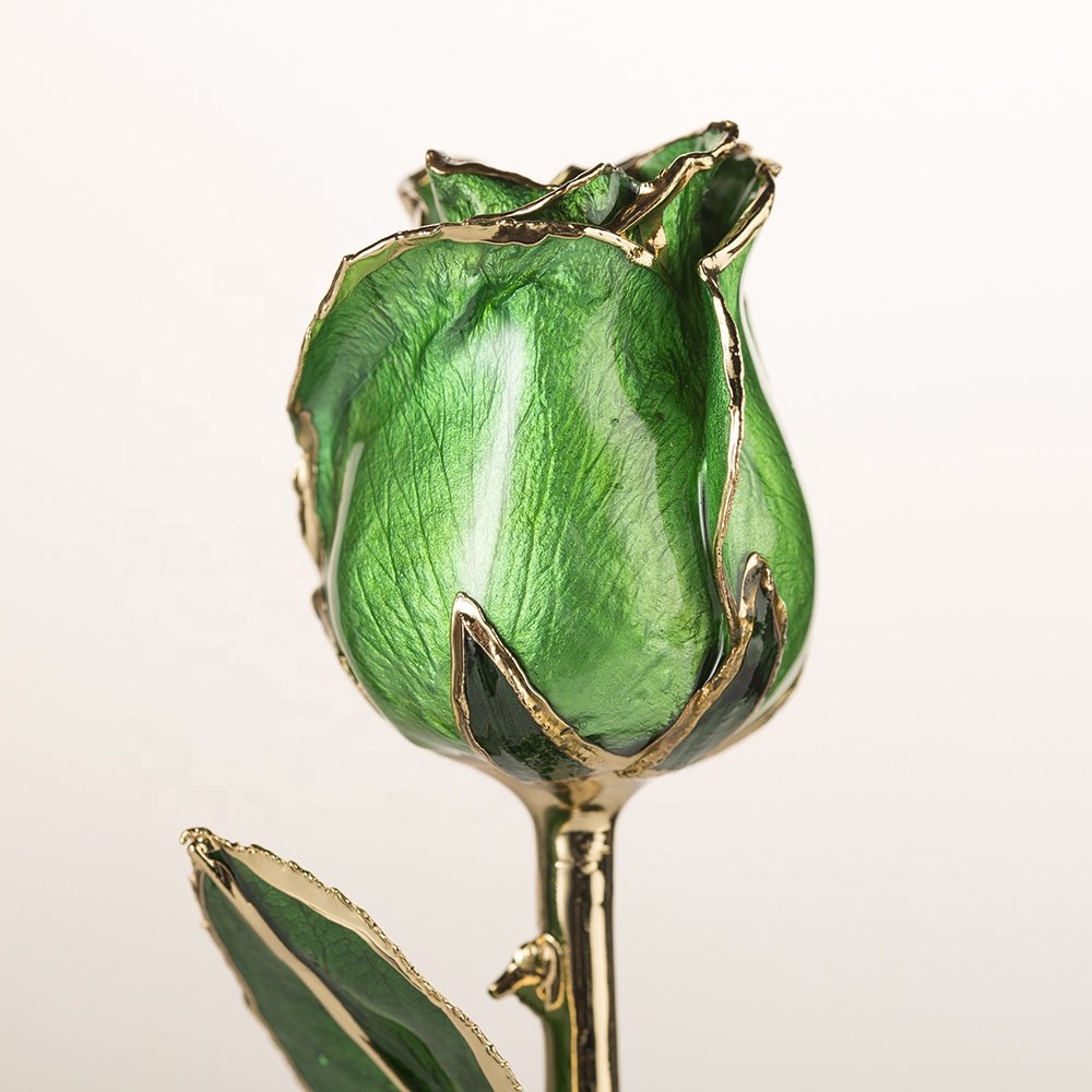 Gold plated rose wholesale green fresh Rose with Stem Present rose gift valentine mother day