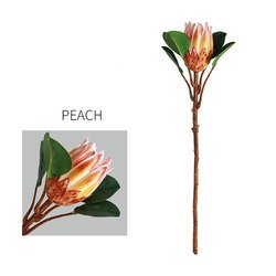 peach