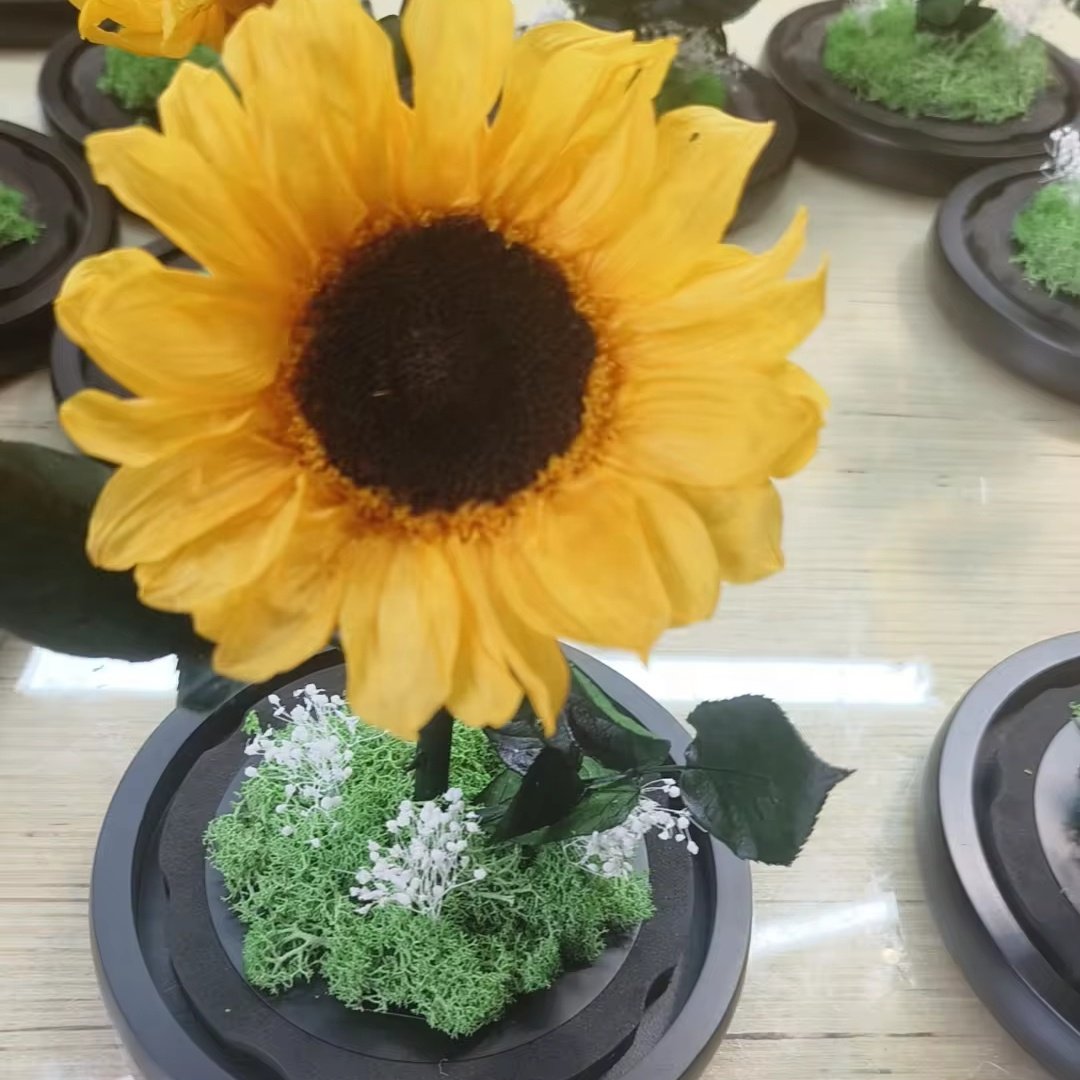Valentine's Day Mother's Day gift eternal sunflower natural real preserved sunflower in glass dome