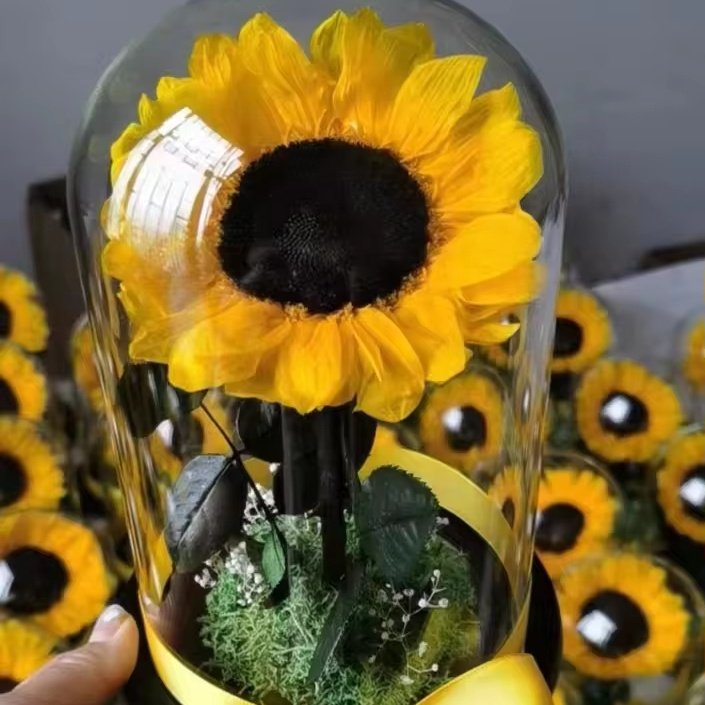 Valentine's Day Mother's Day gift eternal sunflower natural real preserved sunflower in glass dome
