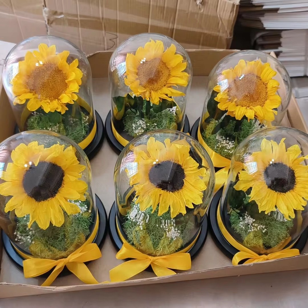 Valentine's Day Mother's Day gift eternal sunflower natural real preserved sunflower in glass dome