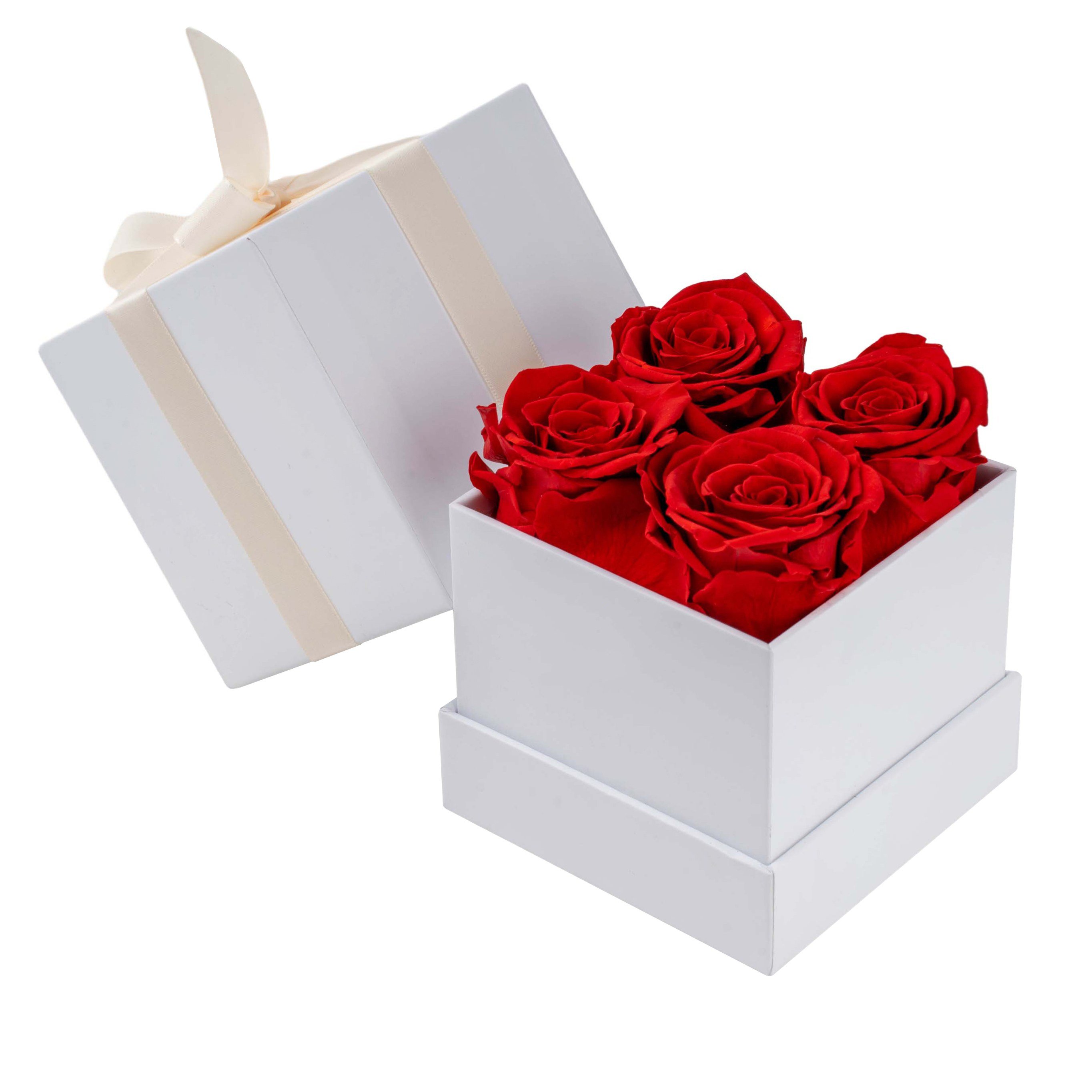 Eternal Rose Gift Box for Valentines Day Premium Preserved Roses in Pink Infinity Box