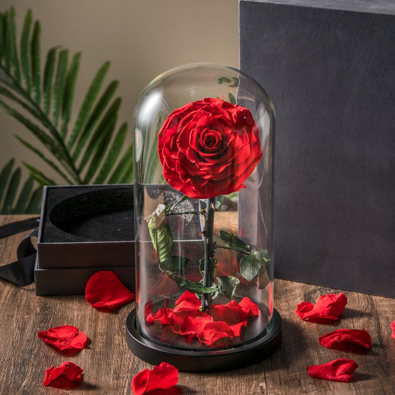 Factory Supply Led Light Glass Dome with preserved flower Rose Perfect Birthday Teachers Day Valentines Day Gifts