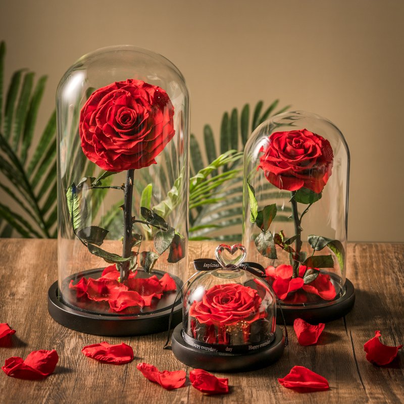 Factory Supply Led Light Glass Dome with preserved flower Rose Perfect Birthday Teachers Day Valentines Day Gifts