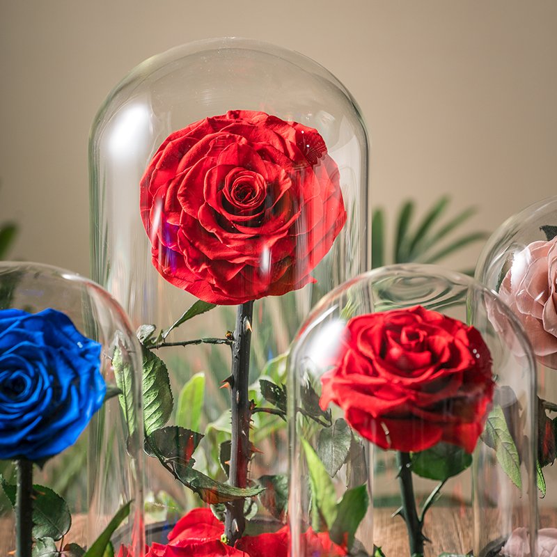 Factory Supply Led Light Glass Dome with preserved flower Rose Perfect Birthday Teachers Day Valentines Day Gifts