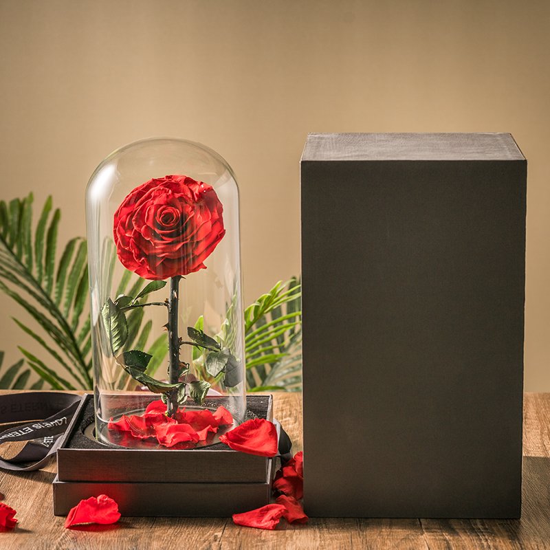 Factory Supply Led Light Glass Dome with preserved flower Rose Perfect Birthday Teachers Day Valentines Day Gifts