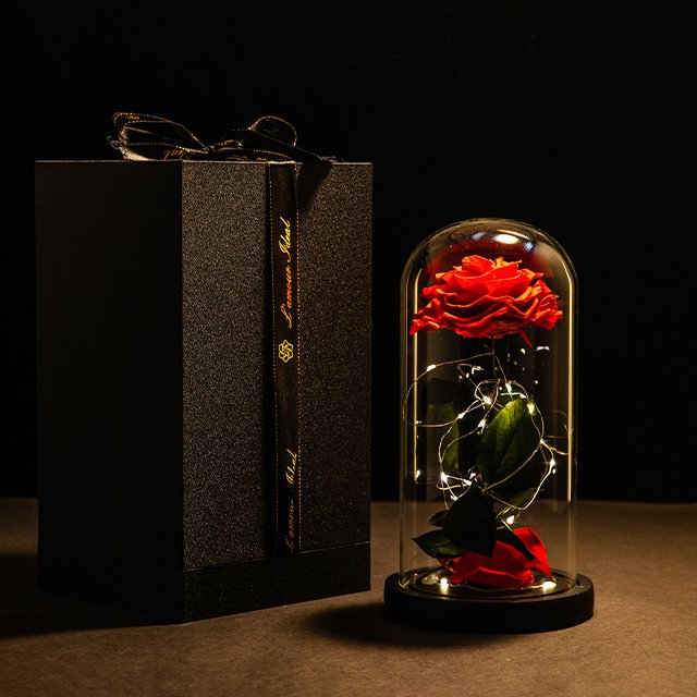 Christmas Gift Set Preserved Flower Box Customized Flower Boxes Preserved Roses In Glass Dome With Led Gift Box Love Gift For Gi