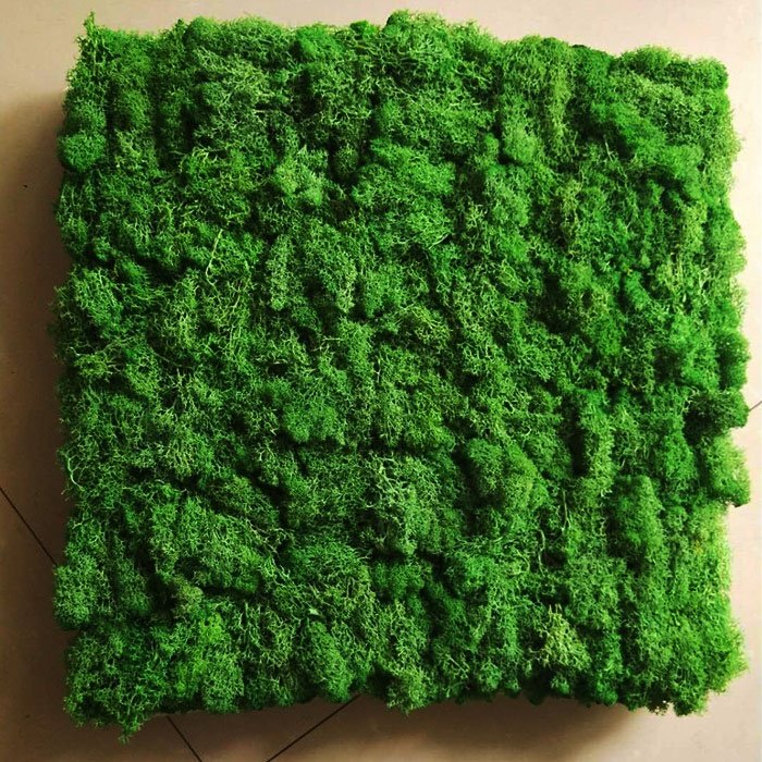 Wholesale factory selling natural preserved moss wall decorative eternal Moss plate