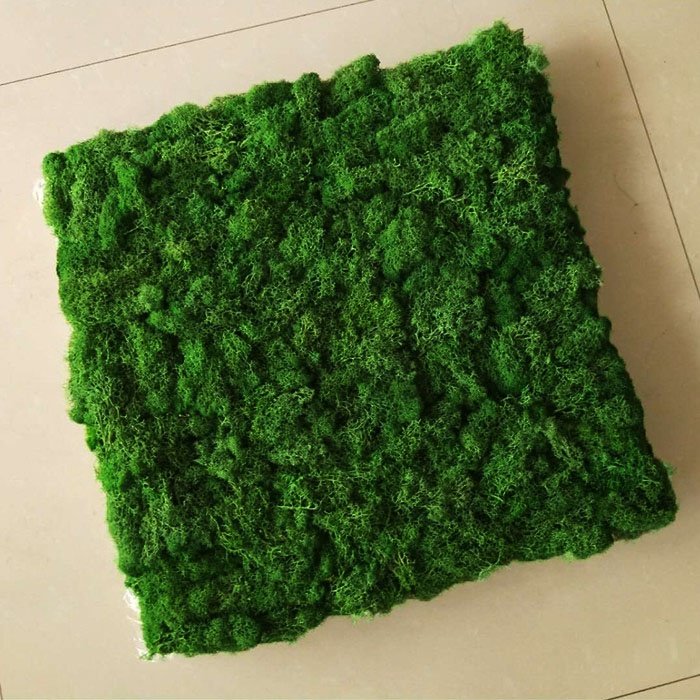 Wholesale factory selling natural preserved moss wall decorative eternal Moss plate