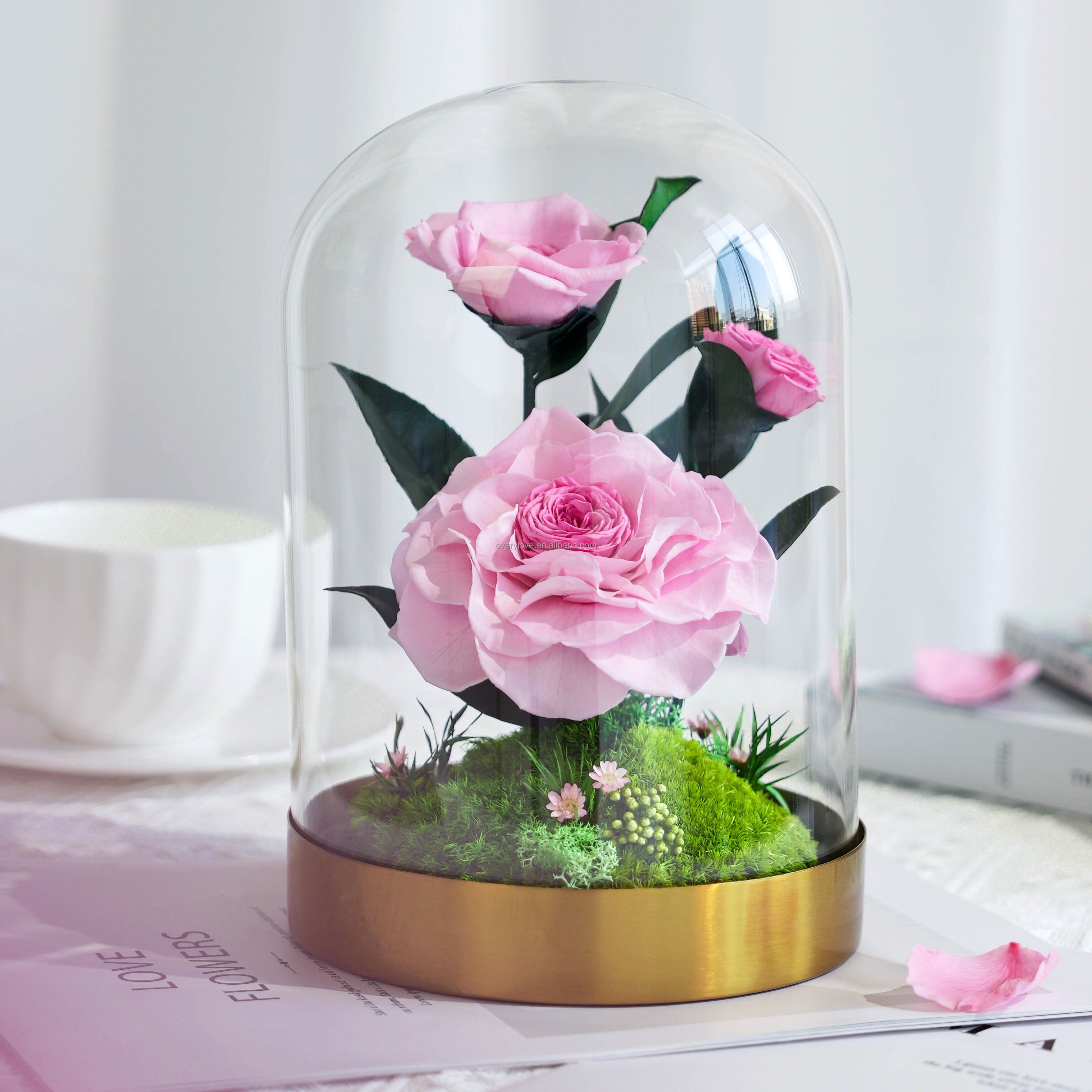 2024 New style home decor preserved rose eternal flower Camellia preserved rose bouquet in glass dome for gift