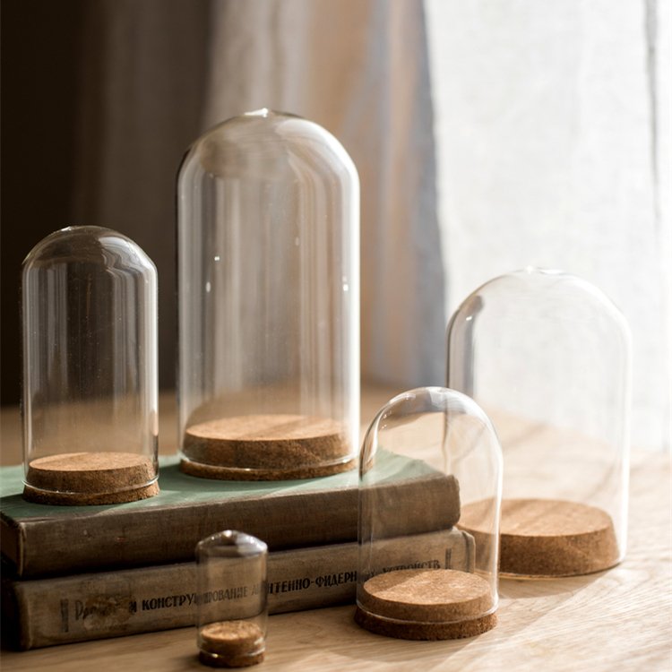 Dome Preserved Flower Rose Wholesale Mini Clear Geodesic Home Decoration Glass Jar Cylinder Folk Art Glass Cloche